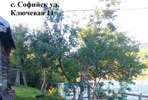 Информация по уровню воды в реке Амур на территории Ульчского муниципального района по состоянию на 11.09.2019г.