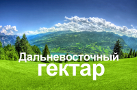 Дальневосточный гектар: ответы на главные вопросы