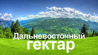Утверждены критерии использования земельных участков предоставленных в рамках программы «Дальневосточный гектар»