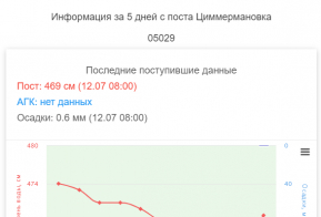 Информация по уровню воды в реке Амур,  по состоянию на 12.07.2021г.