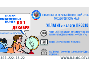 Узнать и погасить задолженность по налогам онлайн - Легко!