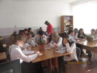 В Ульчском районе прошел муниципальный этап электорального конкурса «Амурский кристалл»1670376485