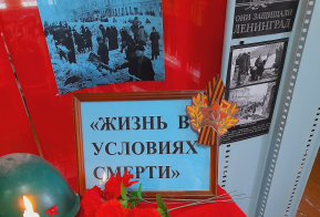О проведении мероприятий в учреждениях  культуры Ульчского района, посвящённых  79-летию снятия блокады Ленинграда