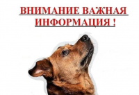 УВАЖАЕМЫЕ ВЛАДЕЛЬЦЫ СОБАК!