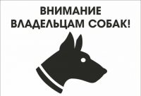   О нарушении установленных законом края дополнительных требований к содержанию домашних животных, в том числе к их выгулу