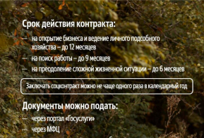 Социальный контракт: рассказываем подробнее о мере поддержки