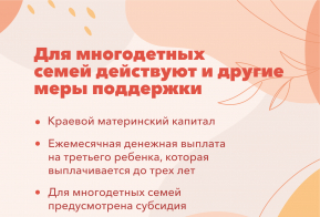 Поддержка многодетных семей в Хабаровском крае