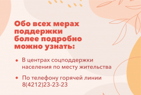 Поддержка многодетных семей в Хабаровском крае