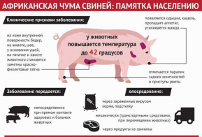 На территории Российской Федерации сохраняются значительные риски распространения особо опасных болезней сельскохозяйственных животных и птиц