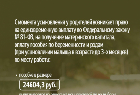 Выплаты при усыновлении ребенка