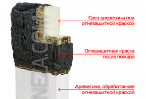 О возможности снижения горючести строительных конструкций жилья и надворных построек путем нанесения огнезащитных составов