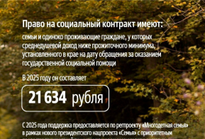 Социальный контракт: рассказываем подробнее о мере поддержки 