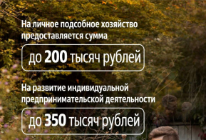 Социальный контракт: рассказываем подробнее о мере поддержки 
